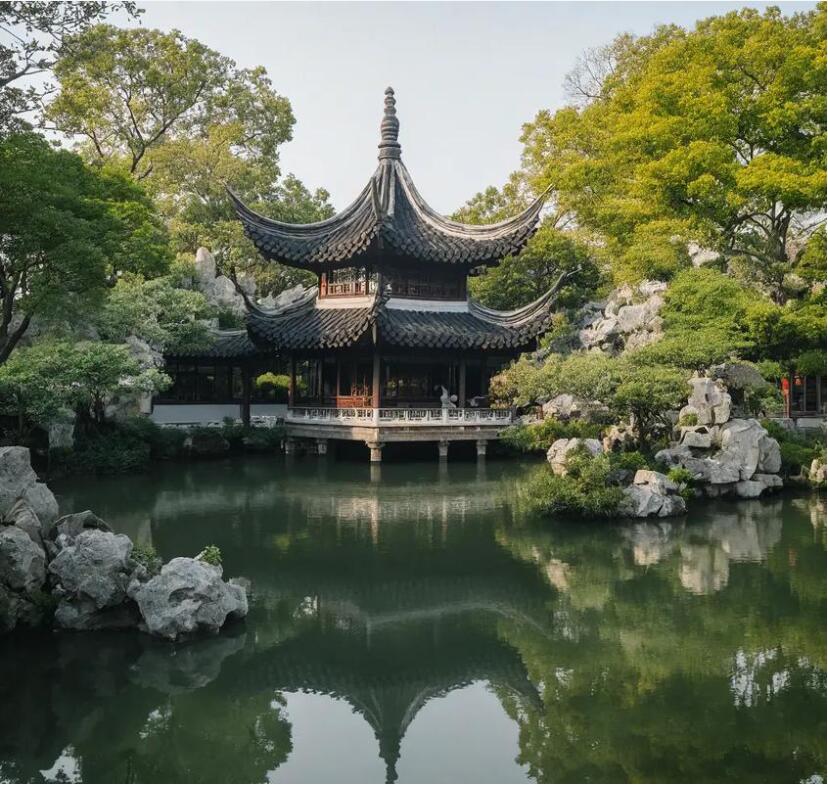 金城江区剩余餐饮有限公司